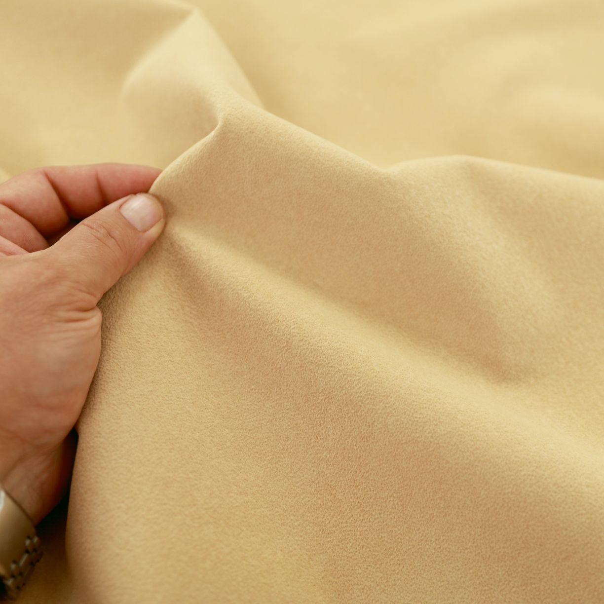 popup_images/beige-185329c.jpg