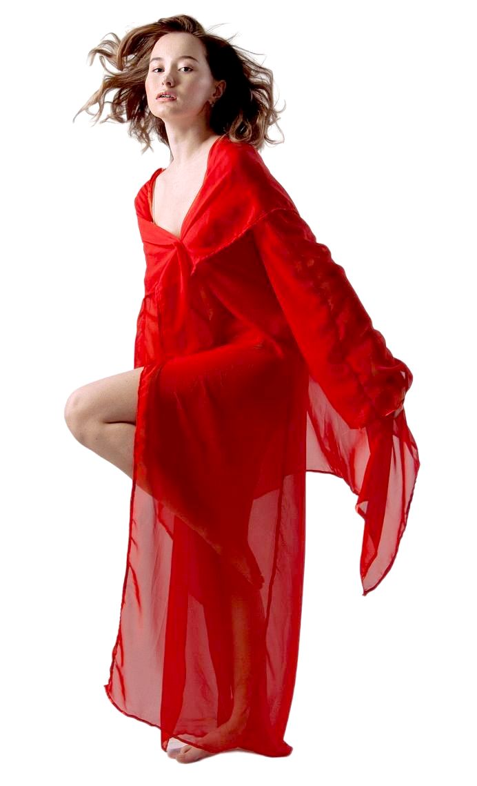 edler Chiffon in rot edler Chiffon in rot